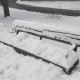 Adopt-a-City-Bench to Help Wearly – The 2023 Snow Mole Campaign