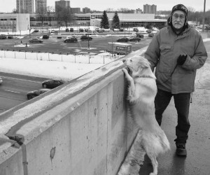 Denis Rancourt, shown here with his daughter’s dog, Chula on the Lees Avenue Bridge over the Queensway, says the parapet separating pedestrians (and dogs) from the drop below should have a railing on top, as required in the relevant provincial structural manual. The second picture shows, as a stark contrast, the new barrier on the Lees Avenue sidewalk that separates pedestrians from the LRT line.  Photo by John Dance