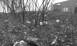 The hillside and riverbank behind the Rideau East apartment tower at 170 Lees often looked like this before the building’s management finally removed the offending garbage containers in early January. Photo by Carol Alette