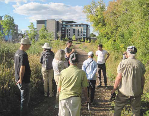The future of the corridor running along the Rideau River and through Greystone Village is unknown; both the City of Ottawa and the Rideau Valley Conservation Authority have declined ownership of the land. Photo by John Dance