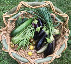 A basket of veggies harvested by Garden Manager Marianne. Photo by Lori Gandy