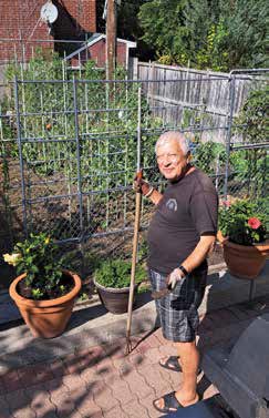 On almost any summer's day, you're sure to see Giovanni in his natural setting doing the one thing he likes best - growing things. Photo by Lorne Abugov 