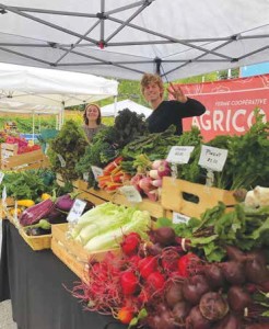 Agricola Cooperative Farm, a popular core vendor at the Main Farmer’s Market, remains committed to Old Ottawa East and is excited about theinvolvement of Ottawa Farmer’s Market. Photo Supplied